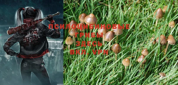 a pvp Семилуки