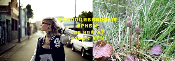 кристаллы Снежногорск