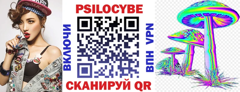 Псилоцибиновые грибы Psilocybine cubensis  Шарыпово 